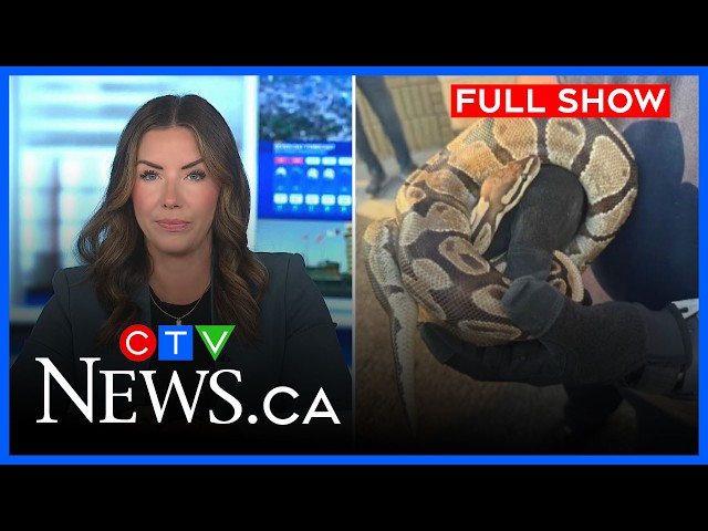 Sales terminal stolen and snake found in vehcile | CTV News Kitchener at Five for July 23, 2026