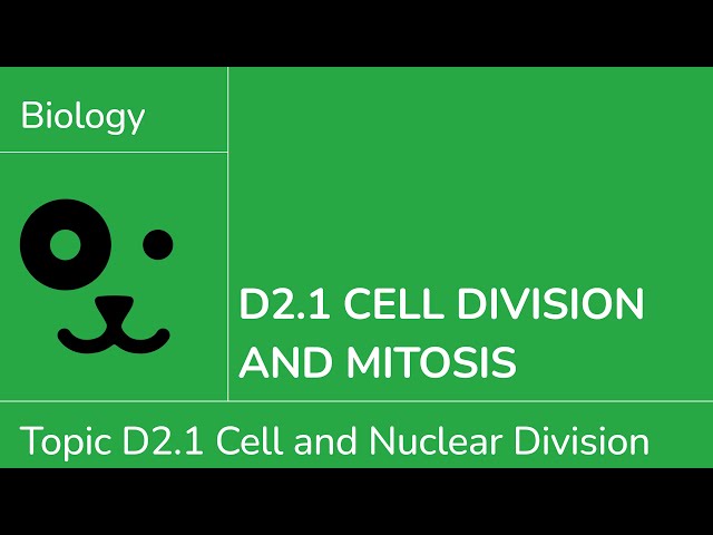 D2.1 Cell Division and Mitosis [IB Biology SL/HL]