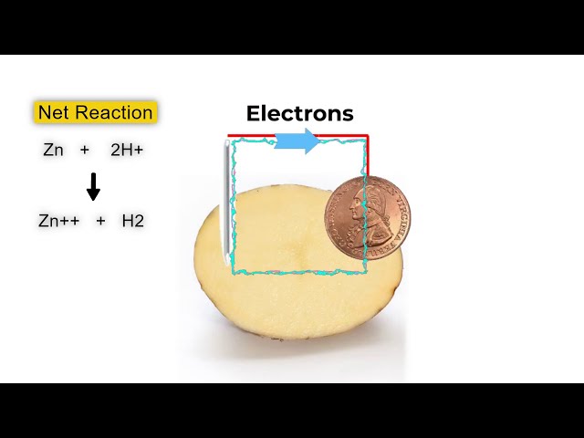 Science Explained: Potato Battery