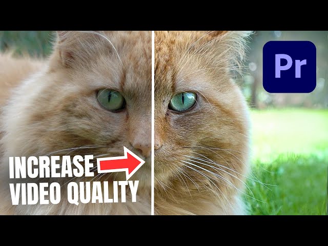 Instantly IMPROVE Video Quality In Premiere Pro