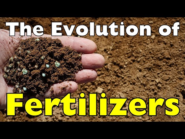 The Evolution of Fertilizers: Humanity’s Greatest Agricultural Breakthrough