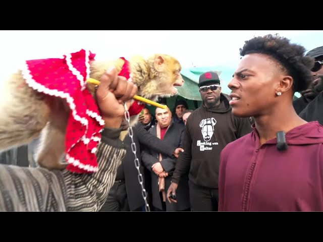 iShowSpeed Gets ATTACKED By A Monkey In Morocco 💀