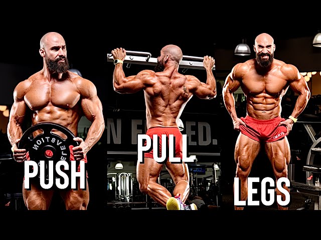 Rutina Semanal completa PUSH - PULL - LEG (Detallada)