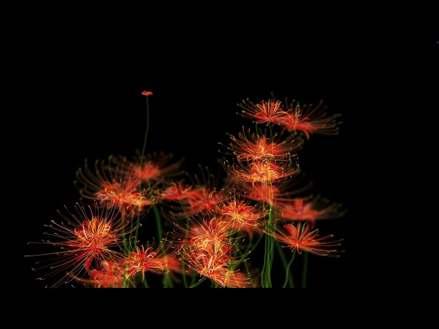 The Flower of the Other Shore