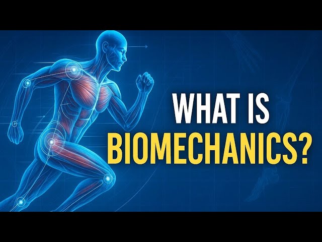 Biomechanics In Biomedical Engineering | Human Body Mechanics And Medical Applications