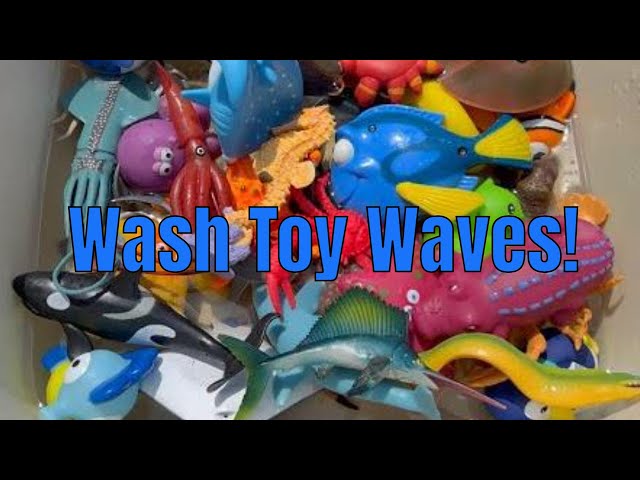 Clean Ocean Toys in Water!