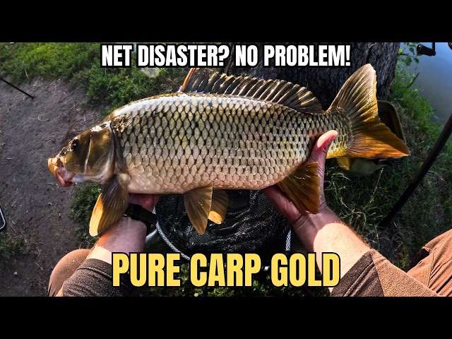 Early Morning Carp Session: Great Bites but Unexpected Disaster