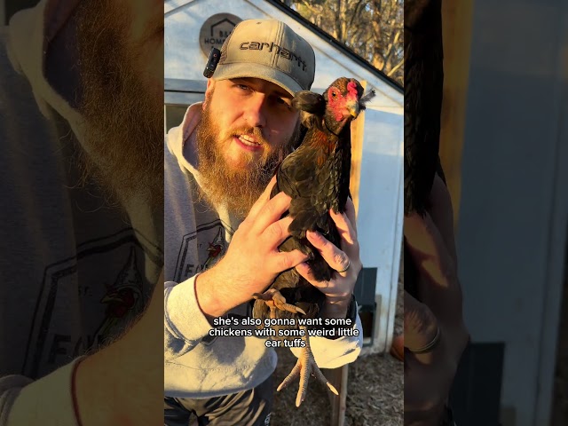 This Is How You Win Husband Of The Year