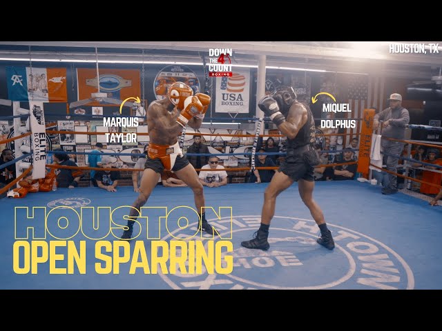 WOW! TOP Amateur And PRO Boxers SHOW OUT in Open Sparring in Houston, TX!
