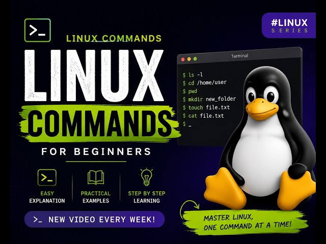 How to Search Text in Linux Files? | grep Command Explained Step by Step (Bangla)