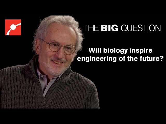 What is the future of Engineering with Bioengineering Pioneer Donald E Ingber