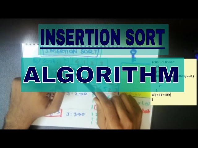 Insertion Sort Algorithm Step By Step Example