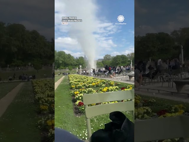 Dust Devil Steals Jackets from Spring Square in Paris