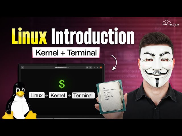 What is Linux? Kernel, OS & Terminal for Beginners