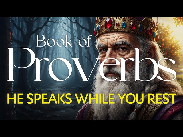 Fall Asleep Instantly to the Wisdom of Proverbs | Peaceful Bible Reading for Sleep + Rain