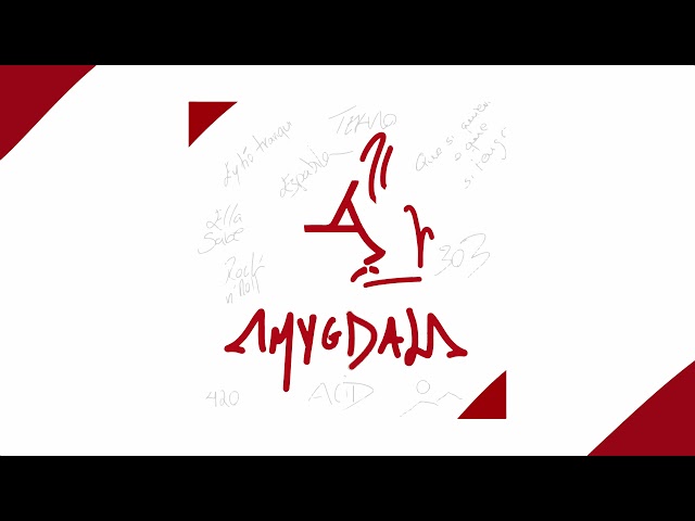 ELLA SABE _ AMYGDALA