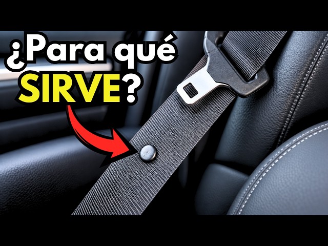 What is the button on your seatbelt for? The answer will surprise you