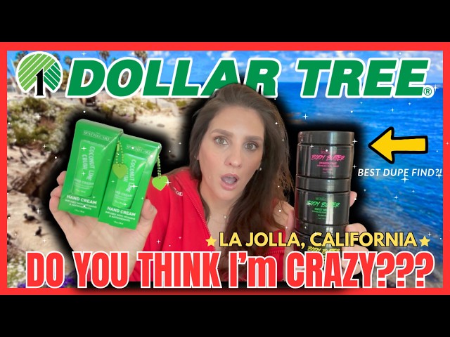 $92.00 🚨 Dollar Tree DUPE DROP ALERT! NEW Finds for ONLY $1.25!