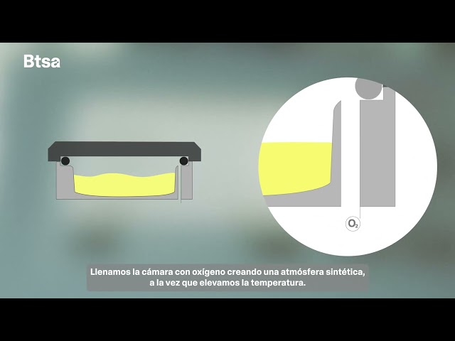 BTSA Test RapidOxy