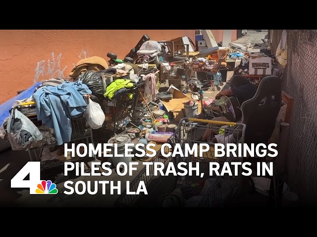 Rats and infestation: South LA alley packed with trash, homeless camp