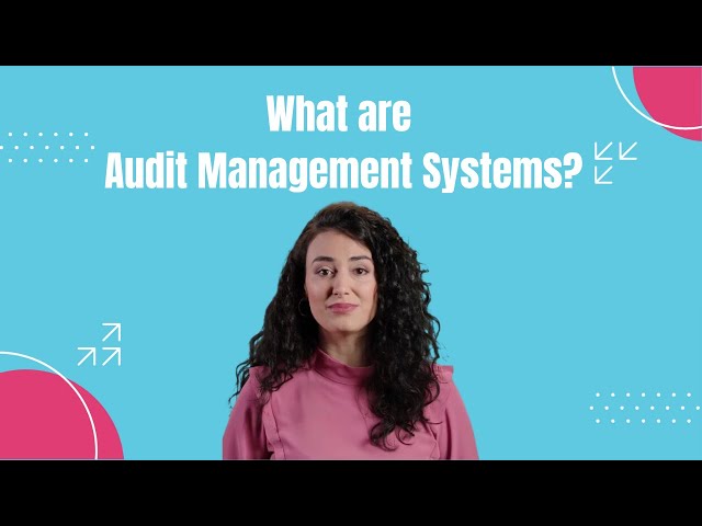 What is an Audit Management System?