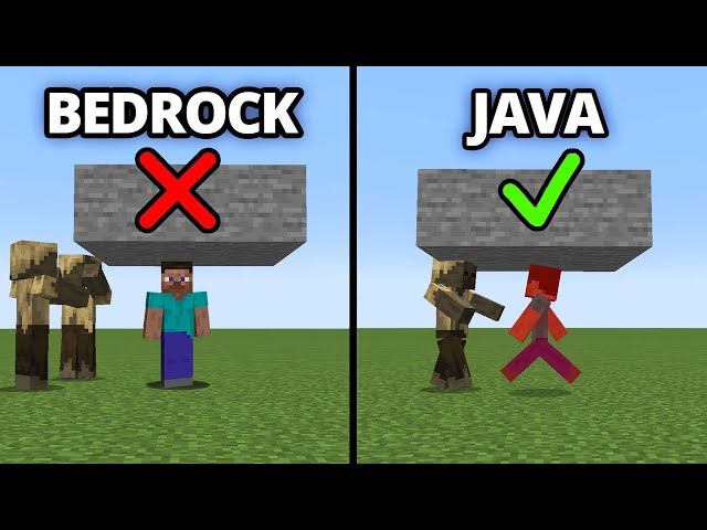 java vs bedrock v12