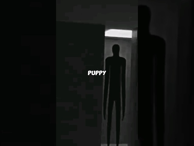 backrooms level -974 "PUPPYS DOMAIN" 🚪🤯 #shorts
