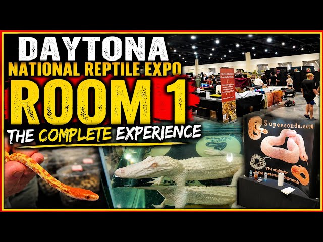 Ultimate Room One Experience! Daytona National Rptile Expo 2026