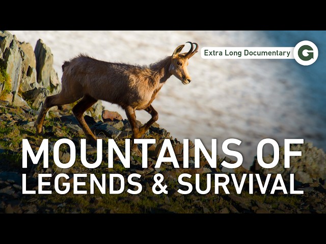 Europe's Most Dangerous Border: The Caucasus Mountains