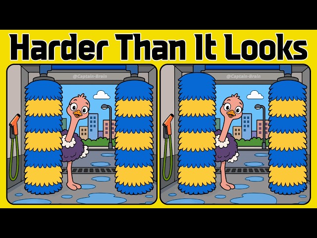 These Spot the Difference Puzzles Are Harder Than They Look! (A Bit Tricky)