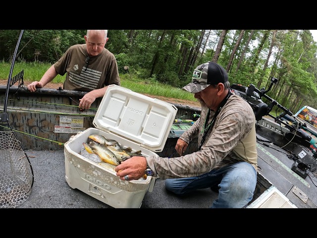 Discover the BEST Shellcracker Fishing Spots in the Carolina Swamps