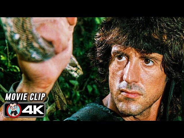 Rambo Vs Cobra Scene | RAMBO: FIRST BLOOD PART II (1985) Movie CLIP 4K