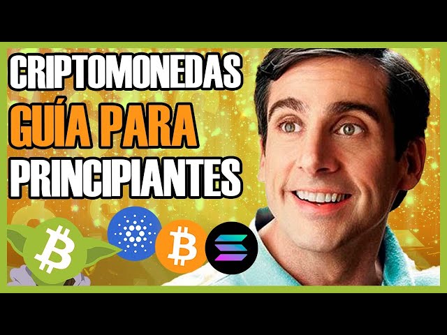 TODO Lo Que Debes Saber Sobre las CRIPTOMONEDAS - Guía Básica Para Principiantes - CryptoYoda -