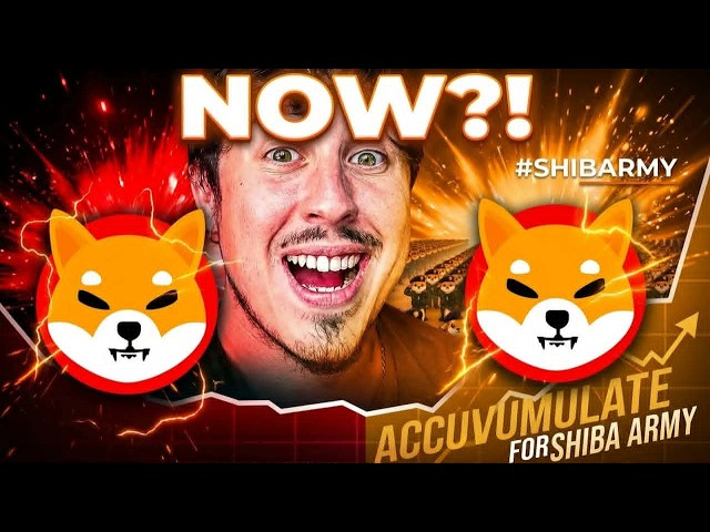 Predicción de precio realista de la criptomoneda SHIBA INU 2026-2030