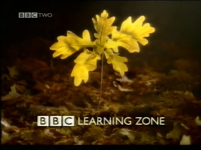 BBC Learning Zone continuity -  Wednesday 17th January 2001