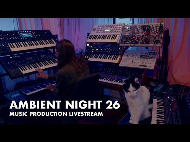 Ambient Night 26 - Production Livestream