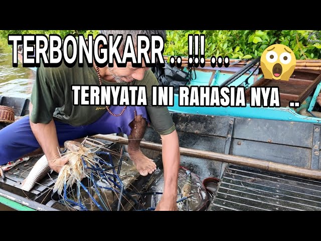 BORED OF BEING A FISHERMAN, THIS MAN REVEALS THE SECRET TECHNIQUE OF FINDING GREEN PRAWNS.. 😰😱 ..