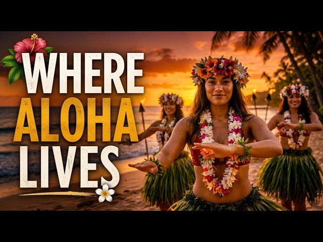 Where Aloha Lives 🌺 Authentic Hawaiian Hula Music | Peaceful Island Songs & Tropical Relaxation
