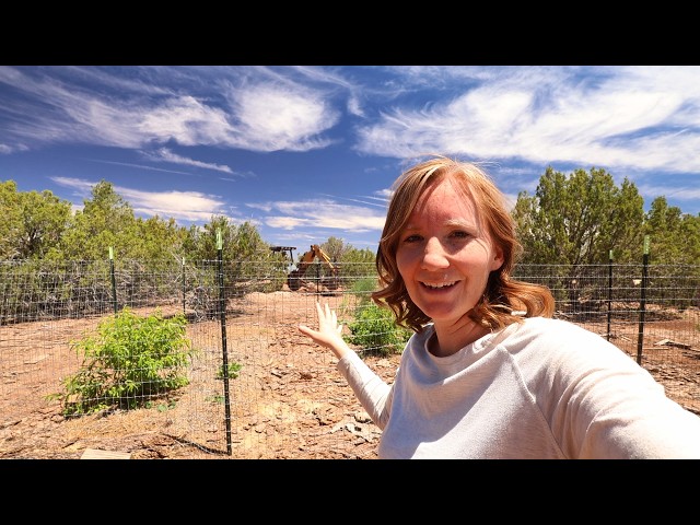 70-Foot-Tall Fruit Trees! Multipurpose for Fruit and Shade on our High Desert Land