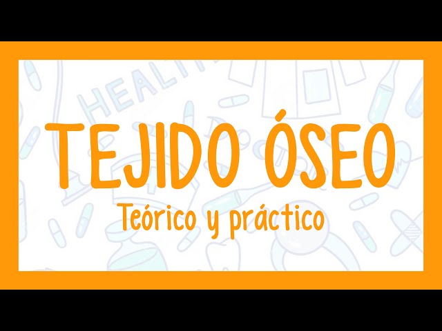 TEJIDO ÓSEO | ¡Fácil explicación! (Histología)