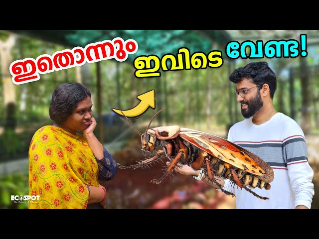 💥Family's reaction when I bought an item I didn't like.. | The Most Unexpected Purchase of My Life🤣