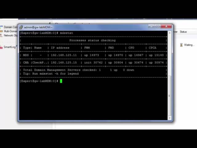 How to create a Domain Management Server and associate it with a global policy