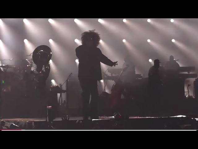 Jay  Z Roots picnic (full set)
