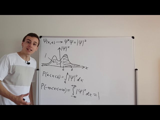 Why We Need the Normalization Condition in Quantum Mechanics