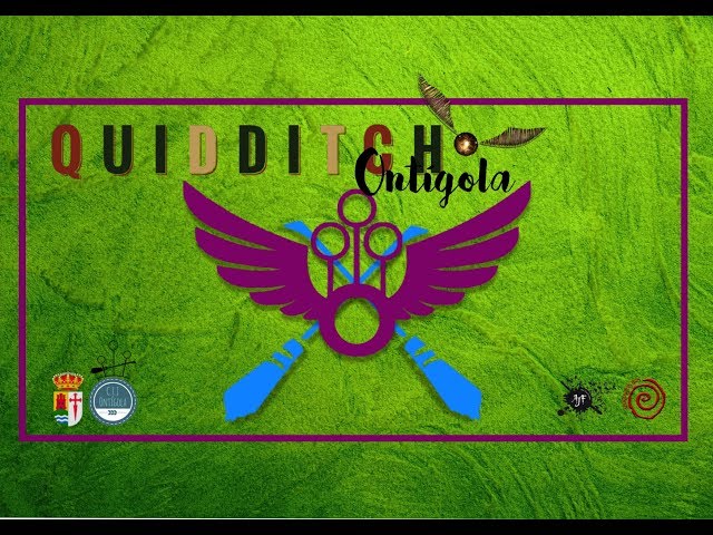 Aprende a jugar al Quidditch en 5 minutos