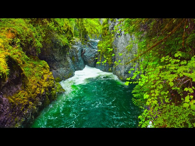 Englishman River Falls in 4K | Relaxing Waterfall & River Sounds from Canada