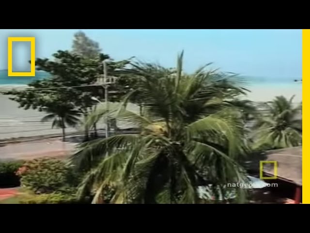 Testigo del tsunami | National Geographic