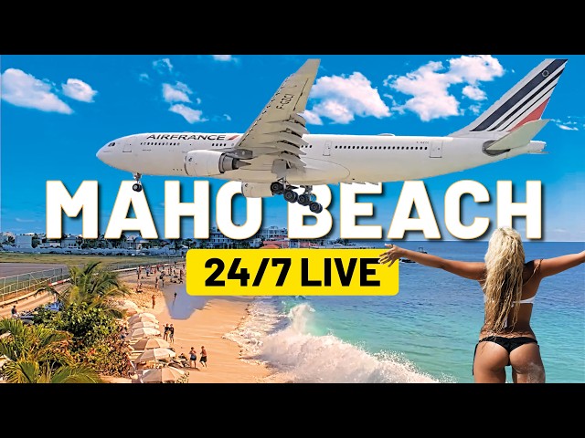 ✈️  Maho Beach Live Cam Saint Martin - Princess Juliana Airport Beach 24/7