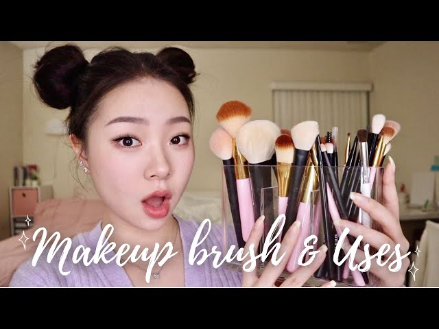 MAKEUP BRUSHES & THEIR USES | FOR BEGINNERS