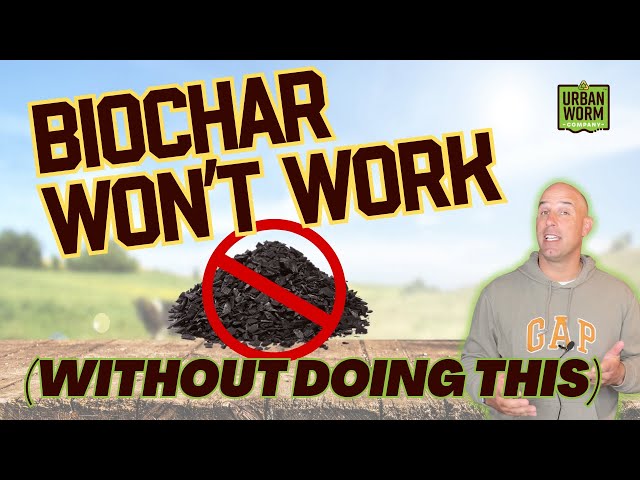 2 Steps to Biochar Success in Your Garden